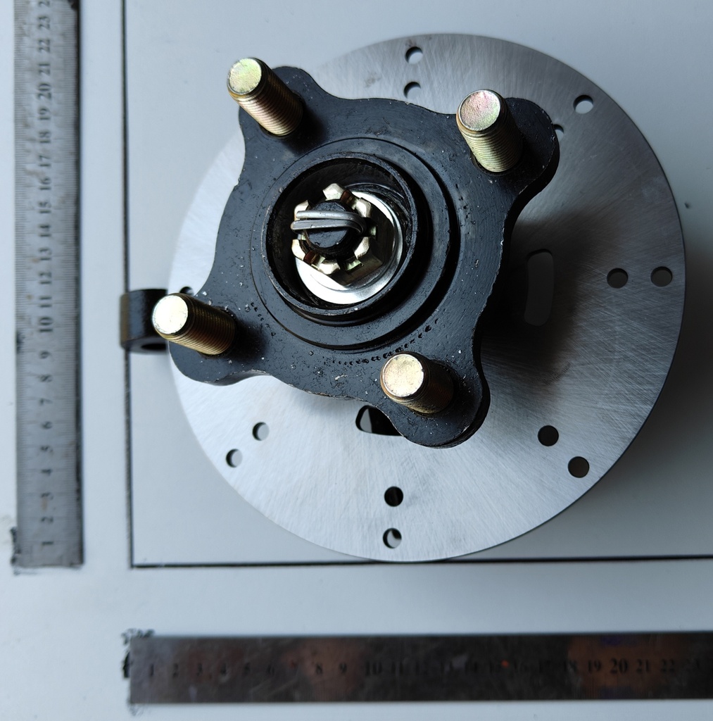 Wheel Hub with Brake Disc Front with Castle Nut LHS Beastie