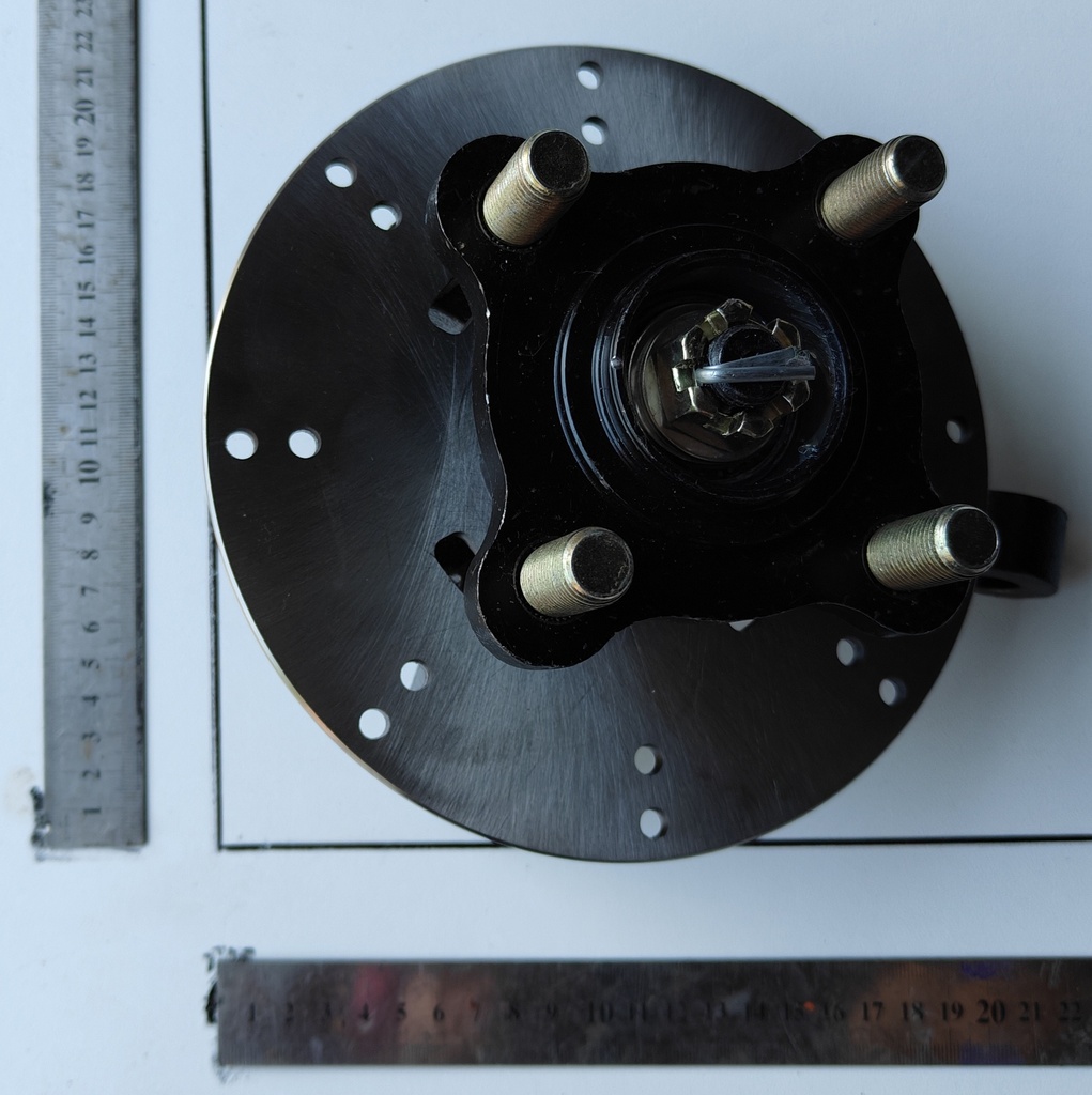 Wheel Hub with Brake Disc Front with Castle Nut RHS Beastie