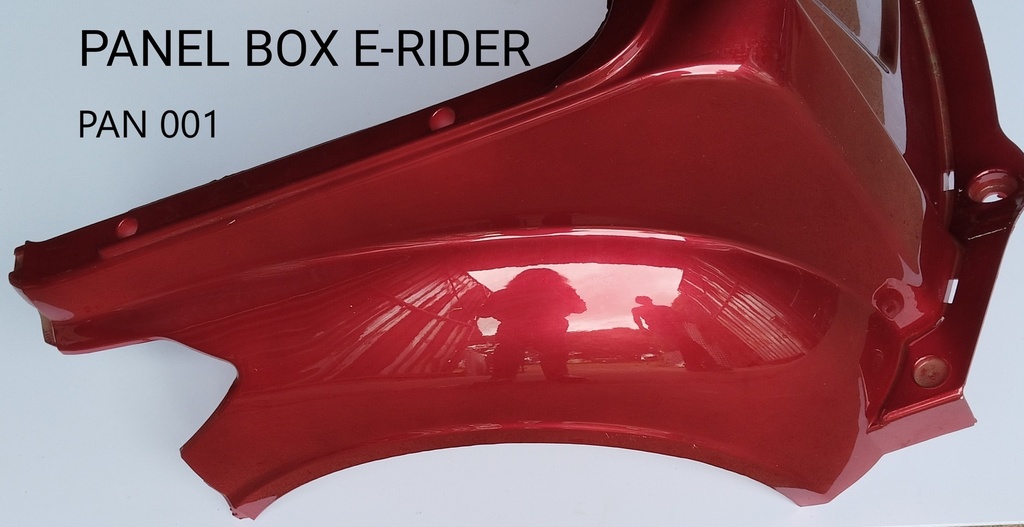 Panel Box E-rider