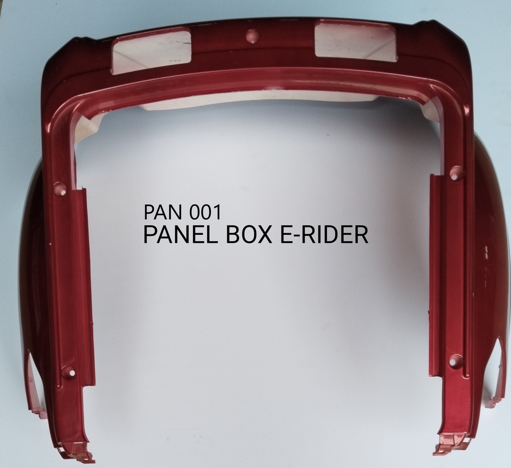 Panel Box E-rider