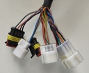 Controller 60V 5000W (Qud)