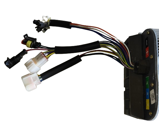 Controller 60V 1000W 80A (H21)