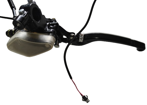 Brake System Rear (Caliper and pipe; Master Cylinder; Left brake lever with relay switch) 701