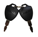 Ignition Switch with 2 Keys (WilB)