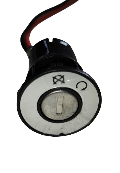 Ignition Switch with 2 Keys (WilB)
