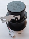Reverse Horn / Hooter (JG)