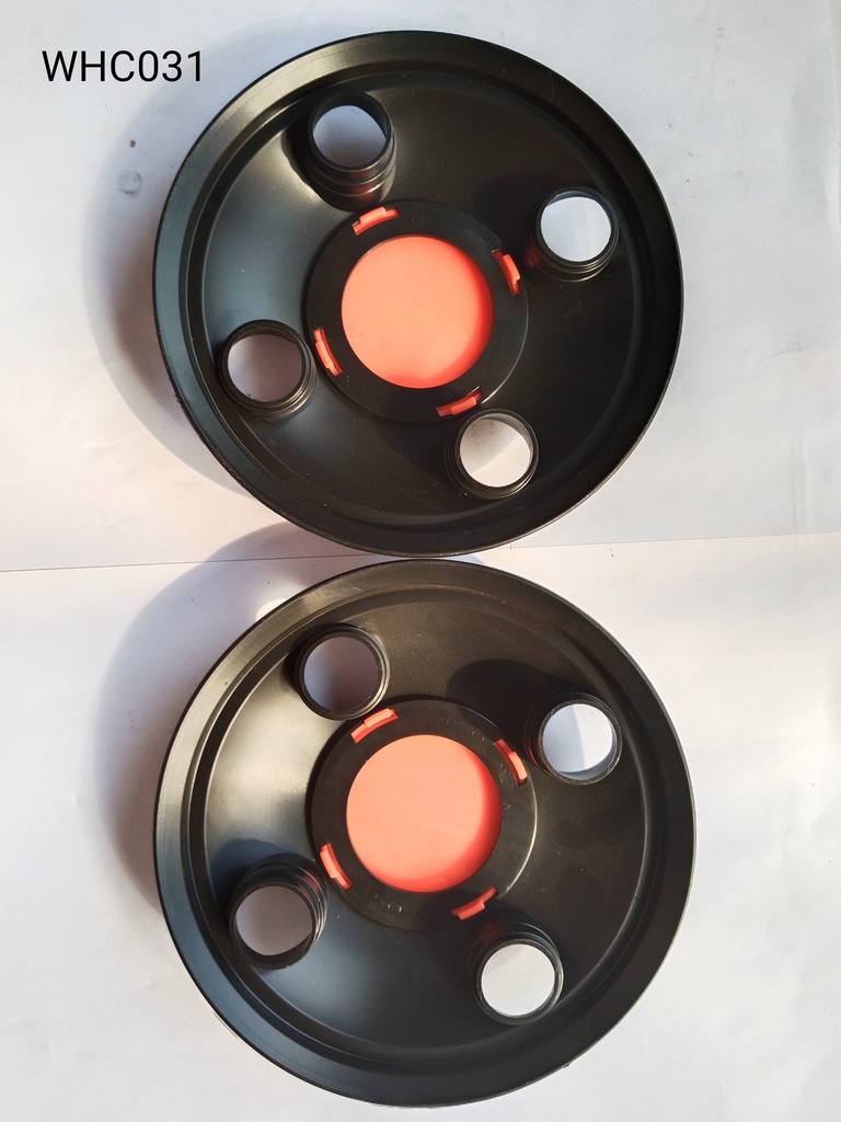 Wheel Hub Caps 2P (JG)