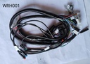Harness Wiring (701)