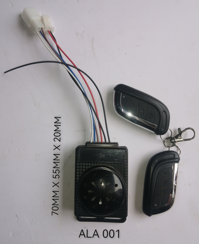 Alarm with 2 Remotes {8M3B01}