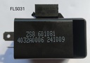Flasher Unit 2P (JG) 