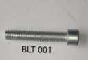 Side Stand Bolt