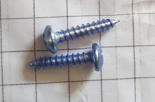 [SCR 003] Screw 20 mm Self Tapping Silver