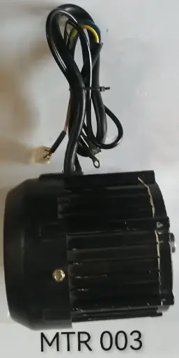 [MTR 003] Diff-Motor  1000w 60V (G-K)