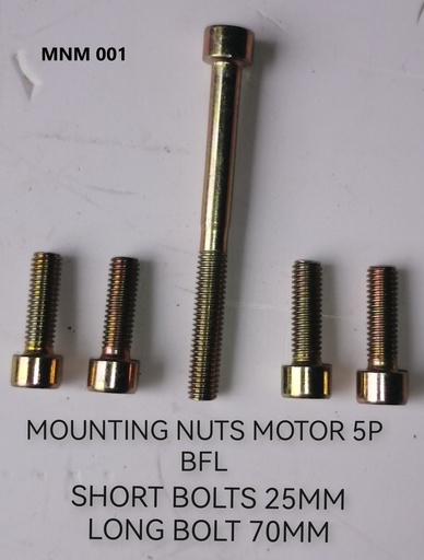 [MNM 001] Mounting nuts Motor (5P)(bfl)