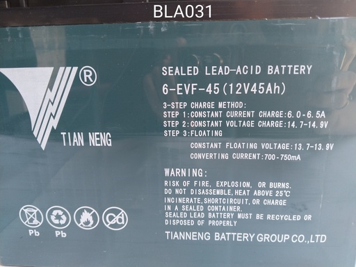 [BLA 031] Battery L-A 12V 45A TianNeng (JG)