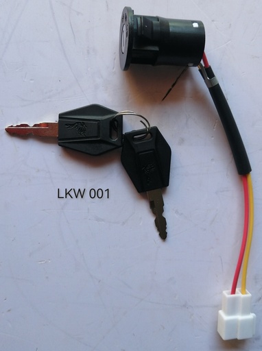 [LKW 001] Ignition Switch with 2 Keys (W)