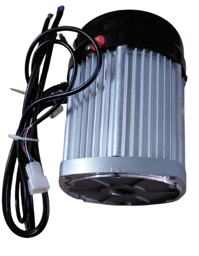 [MTR 009] Diff-Motor  1000w 60V PMSM (H21) (KPE)